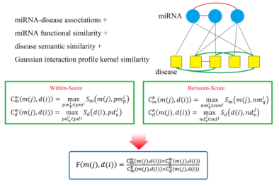 WBSMDA: Within and Between Score for MiRNA-Disease Association prediction