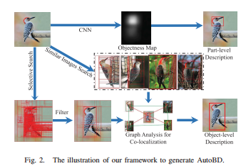 AutoBD: Automated Bi-Level Description for Scalable Fine-Grained Visual Categorization